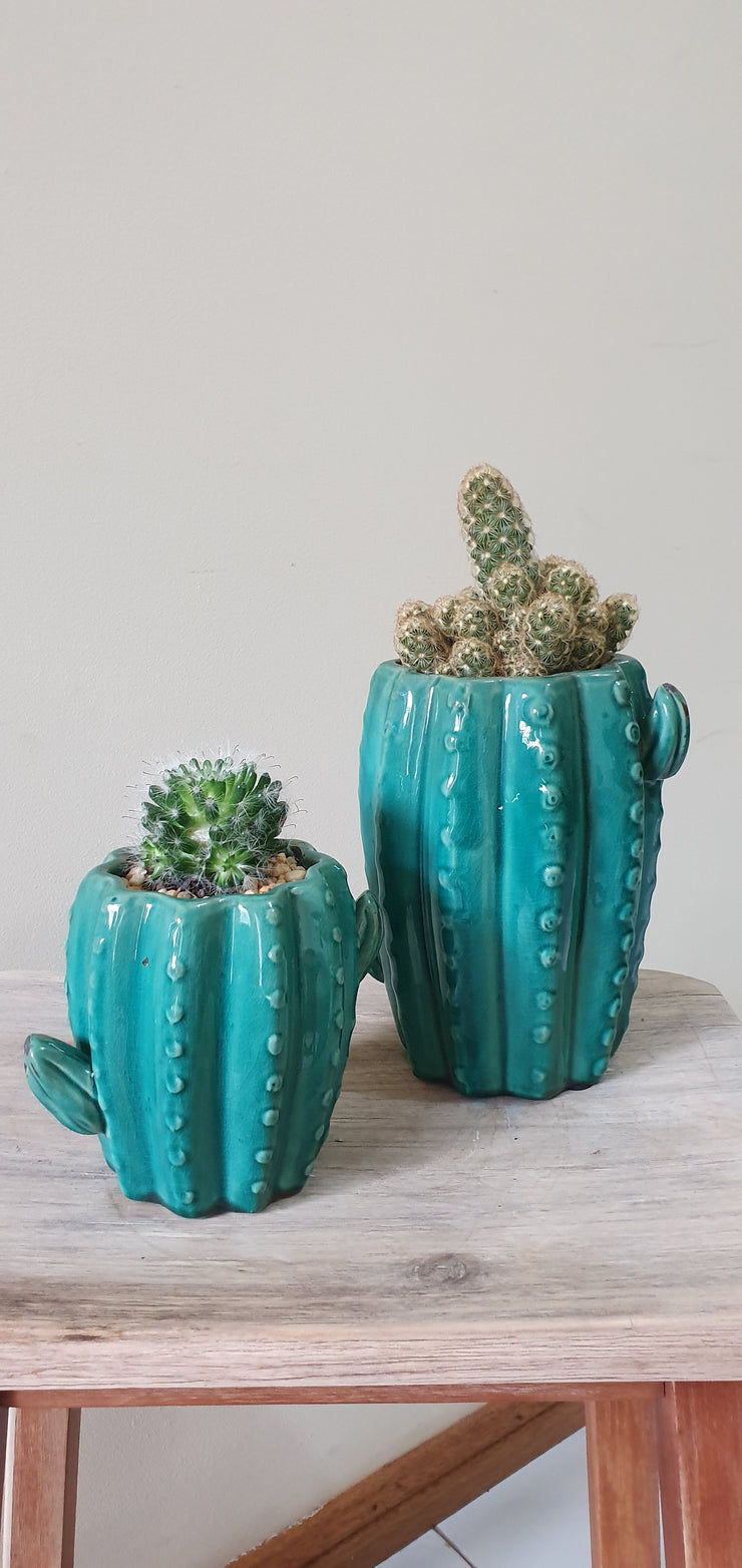 Cactus Ceramic Pot x 2 sizes