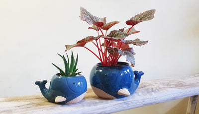 'Wade' Blue Whale Planter