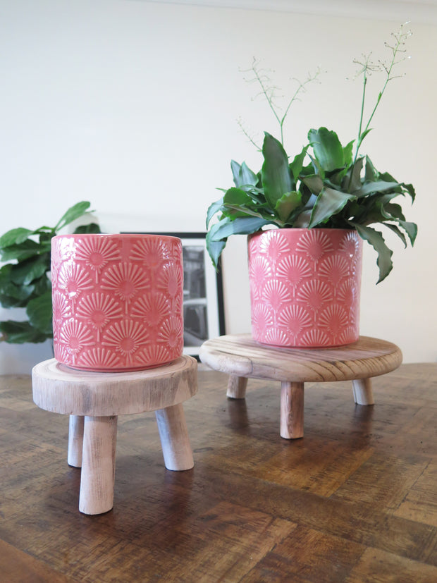 Dandelion 'Pink' Planter x 2 sizes