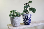 Etched Blue/White Floral Pots x 2 styles