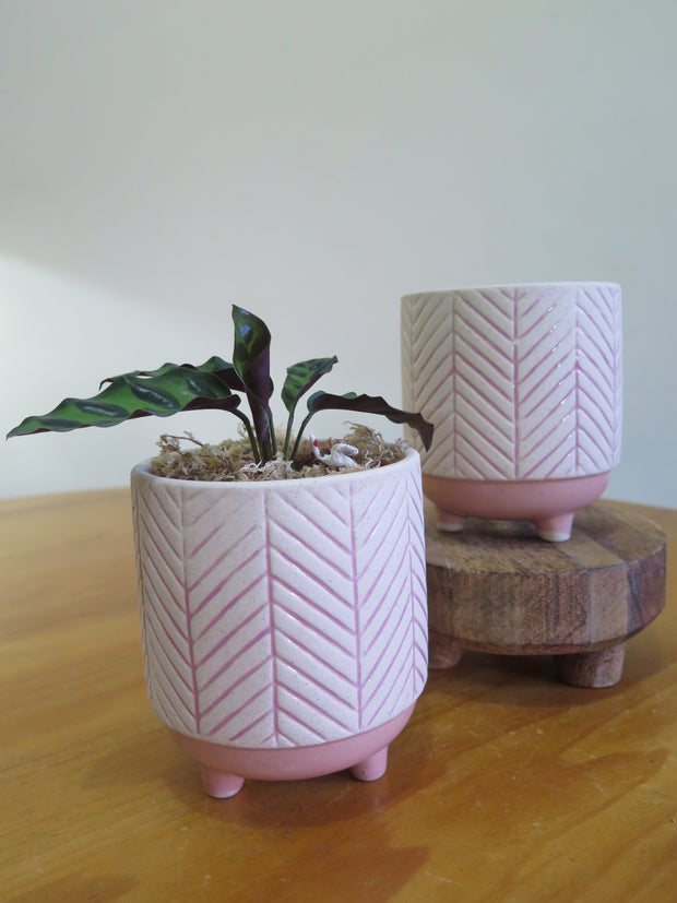 Arrow Stripe 'Pink' Planter w/feet 'H12cm'