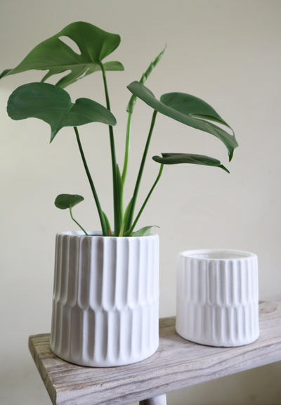Ivory White Pleat Planter x 3 sizes