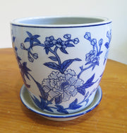 'Floral Vine' Pot with saucer x 4 sizes
