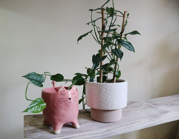 'Whiskers' Cat Planter