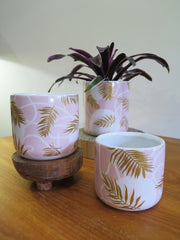 Pretty Palm Potter  x 3 sizes