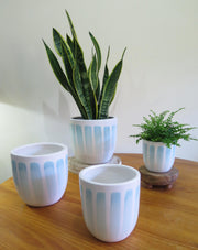Vertical Peppermint Stripe Pot x 4 sizes