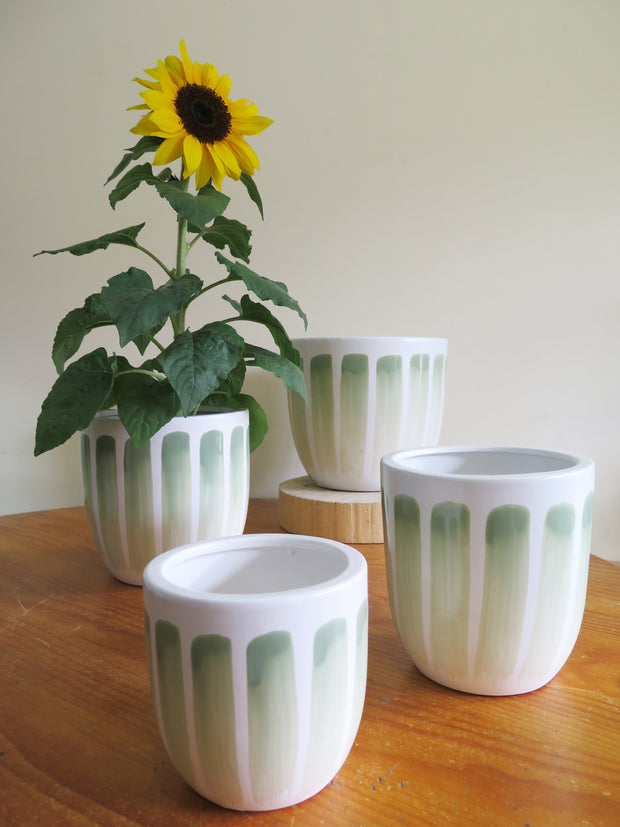 Vertical Lime Stripe Pot x 4 sizes