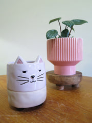 Kitty Kat with legs Planter