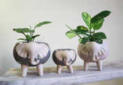 Grey Elephant Planter x 2 sizes